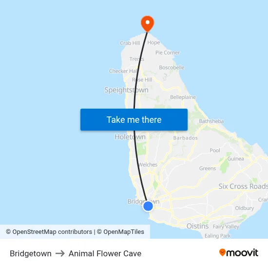 Bridgetown to Animal Flower Cave map