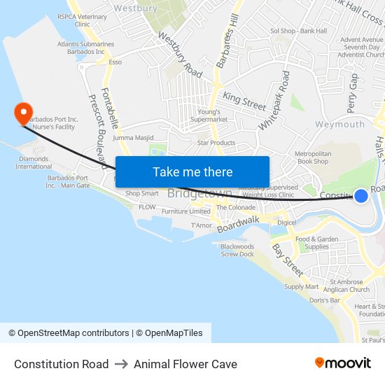 Constitution Road to Animal Flower Cave map