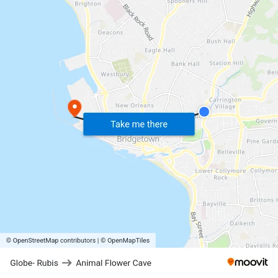 Globe- Rubis to Animal Flower Cave map
