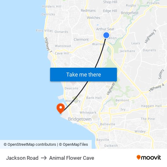 Jackson Road to Animal Flower Cave map