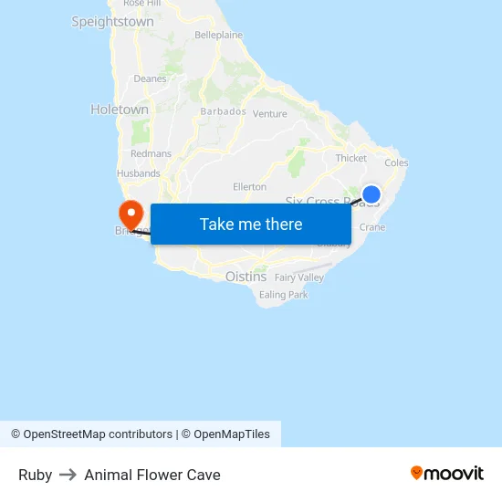 Ruby to Animal Flower Cave map