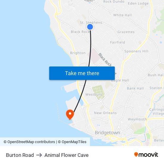 Burton Road to Animal Flower Cave map
