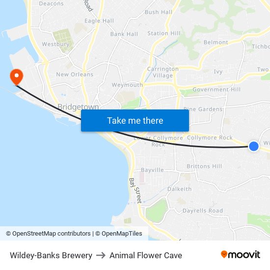 Wildey-Banks Brewery to Animal Flower Cave map