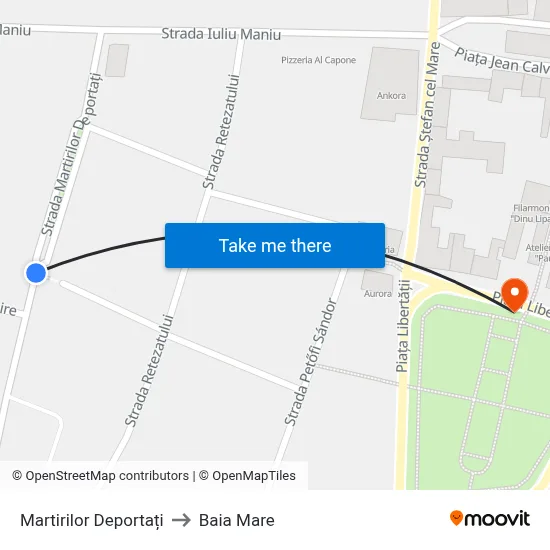 Martirilor Deportați to Baia Mare map