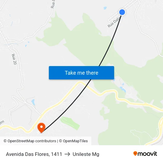 Avenida Das Flores, 1411 to Unileste Mg map