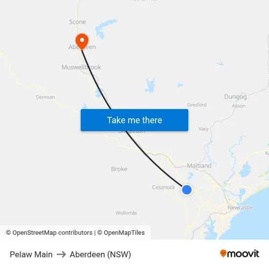 Pelaw Main to Aberdeen (NSW) map