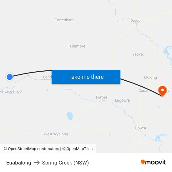Euabalong to Spring Creek (NSW) map