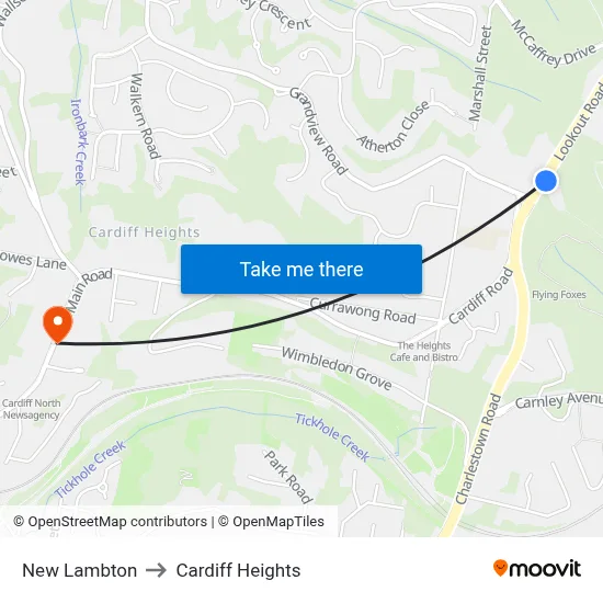 New Lambton to Cardiff Heights map