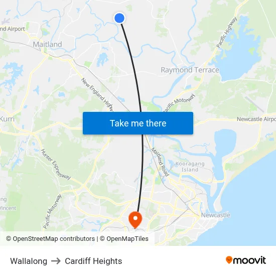Wallalong to Cardiff Heights map