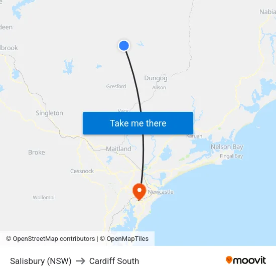 Salisbury (NSW) to Cardiff South map