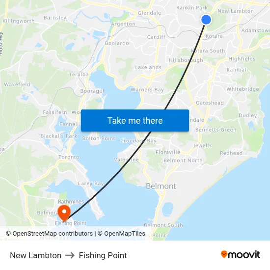 New Lambton to Fishing Point map