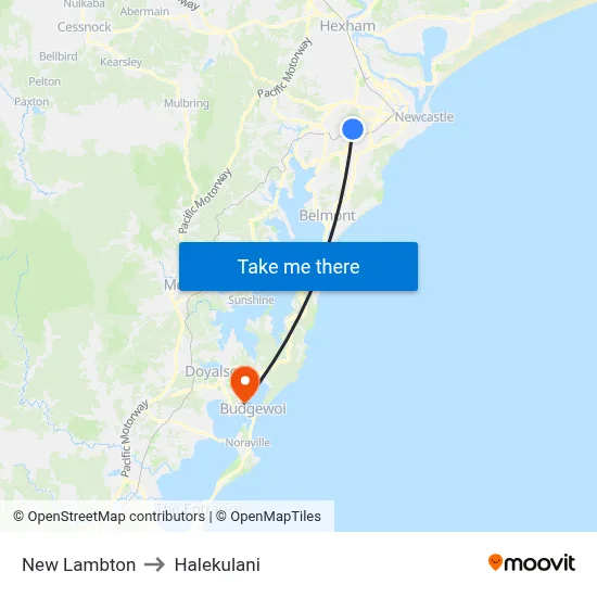 New Lambton to Halekulani map