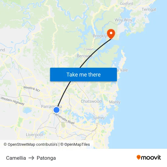 Camellia to Patonga map
