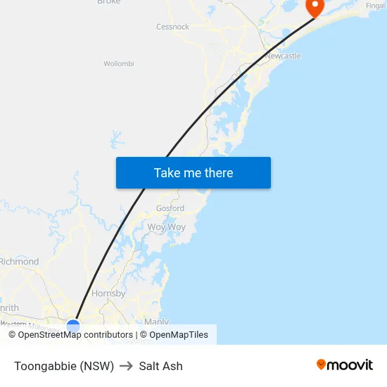 Toongabbie (NSW) to Salt Ash map