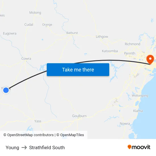 Young to Strathfield South map