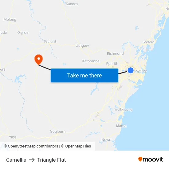 Camellia to Triangle Flat map