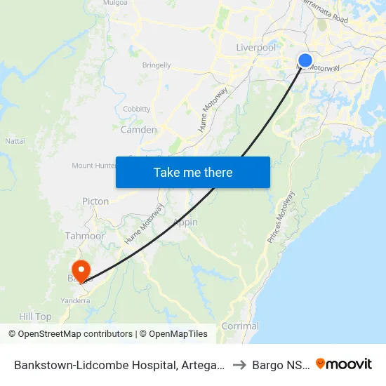 Bankstown-Lidcombe Hospital, Artegall St to Bargo NSW map