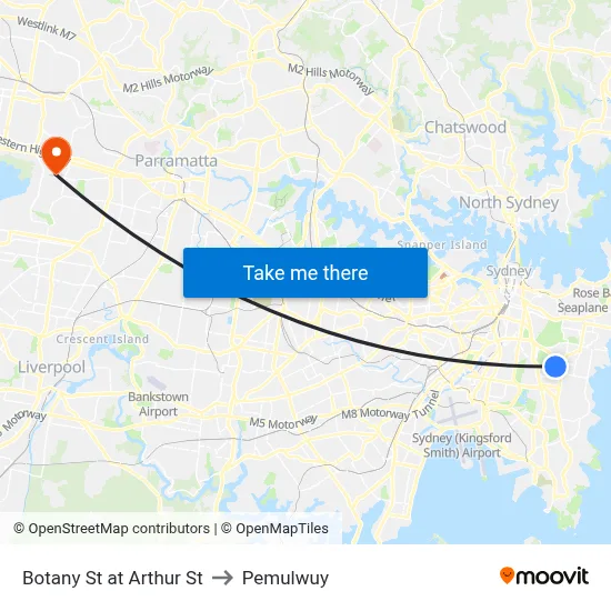 Botany St at Arthur St to Pemulwuy map