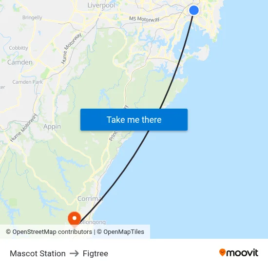 Mascot Station to Figtree map