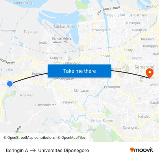 Beringin A to Universitas Diponegoro map