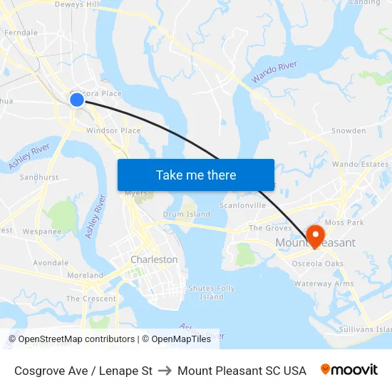 Cosgrove Ave / Lenape St to Mount Pleasant SC USA map