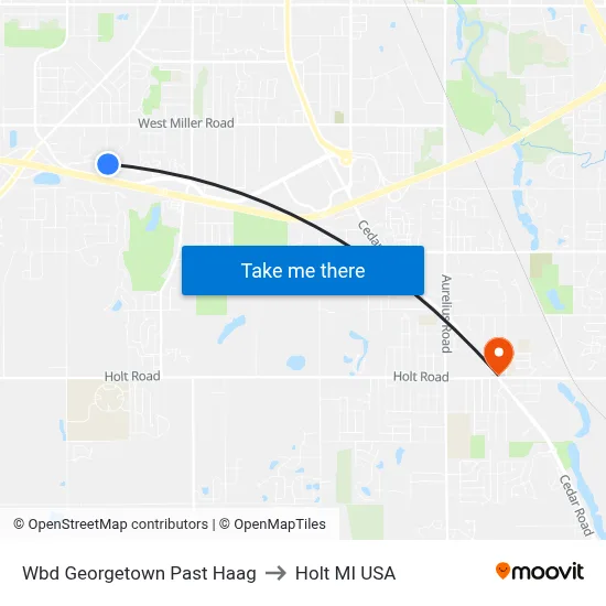Wbd Georgetown Past Haag to Holt MI USA map