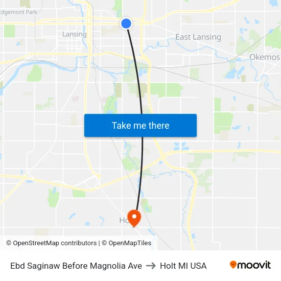 Ebd Saginaw Before Magnolia Ave to Holt MI USA map