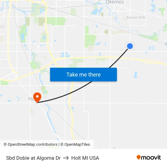 Sbd Dobie at Algoma Dr to Holt MI USA map
