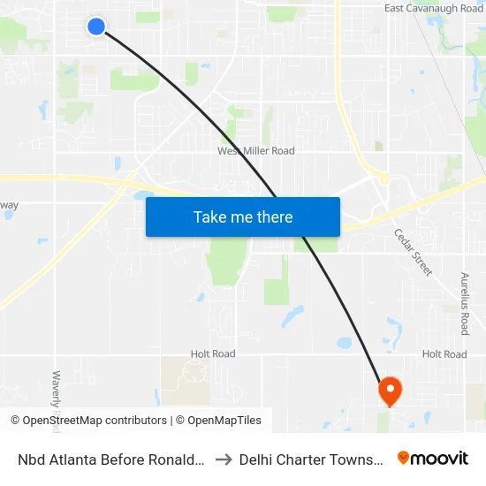 Nbd Atlanta Before Ronald St to Delhi Charter Township map