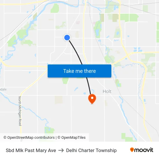 Sbd Mlk Past Mary Ave to Delhi Charter Township map