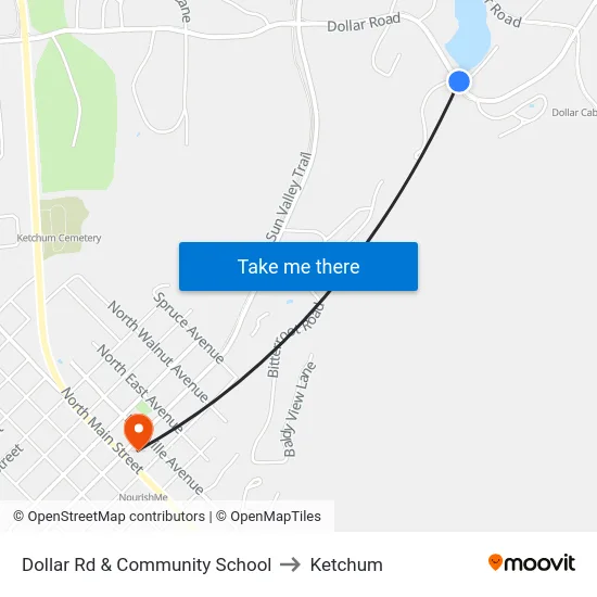 Dollar Rd & Community School to Ketchum map