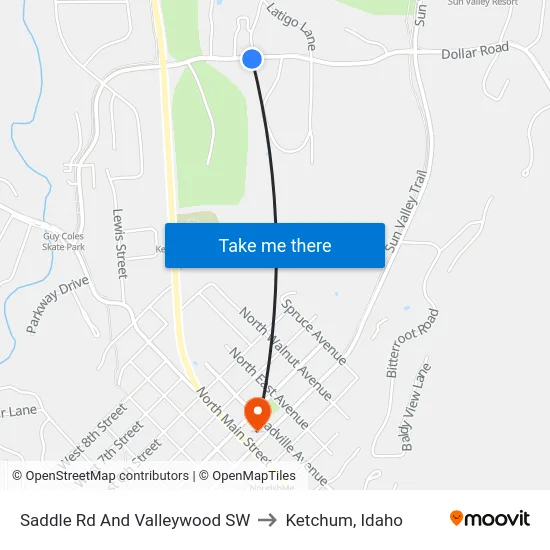 Saddle Rd And Valleywood SW to Ketchum, Idaho map