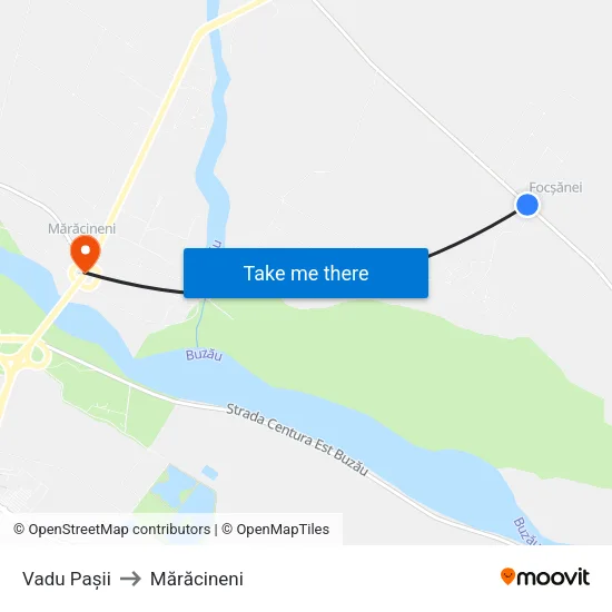 Vadu Pașii to Mărăcineni map