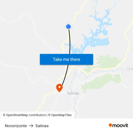Novorizonte to Salinas map