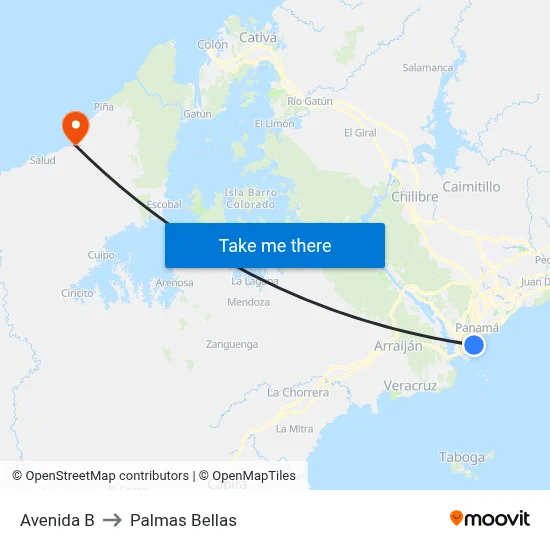 Avenida B to Palmas Bellas map