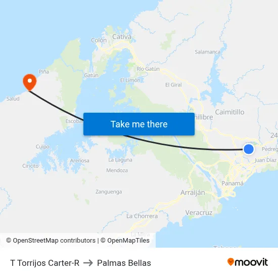 T Torrijos Carter-R to Palmas Bellas map