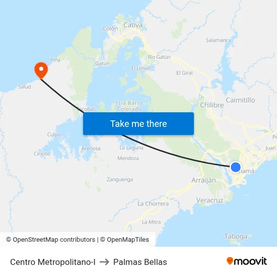 Centro Metropolitano-I to Palmas Bellas map