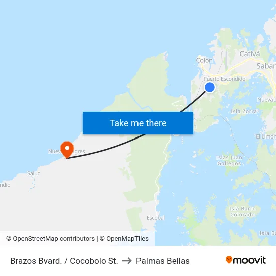 Brazos Bvard. / Cocobolo St. to Palmas Bellas map