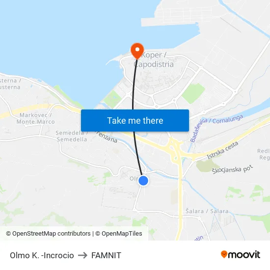 Olmo K. -Incrocio to FAMNIT map