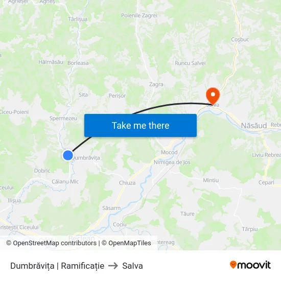 Dumbrăvița | Ramificație to Salva map