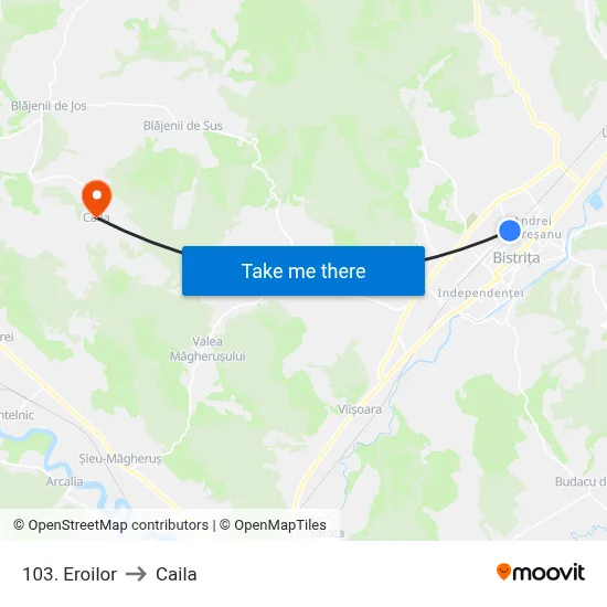 103. Eroilor to Caila map