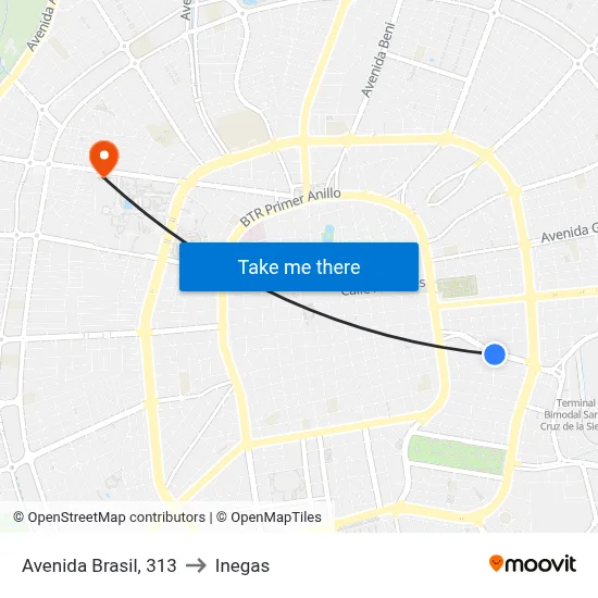 Avenida Brasil, 313 to Inegas map