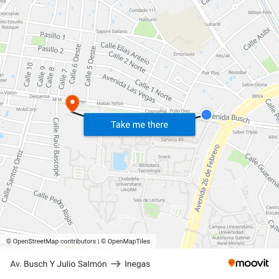 Av. Busch Y Julio Salmón to Inegas map
