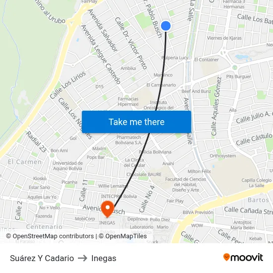 Suárez Y Cadario to Inegas map