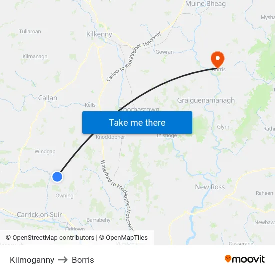 Kilmoganny to Borris map