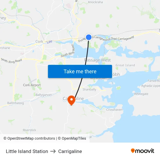 Little Island Station to Carrigaline map