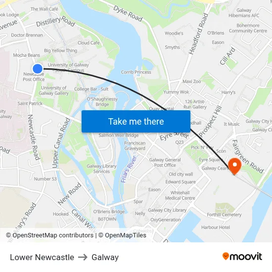 Lower Newcastle to Galway map