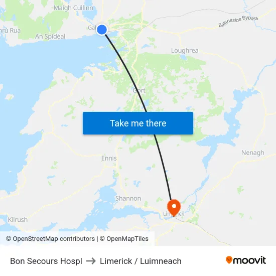 Bon Secours Hospl to Limerick / Luimneach map