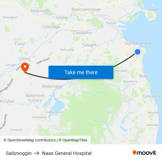Sallynoggin to Naas General Hospital map