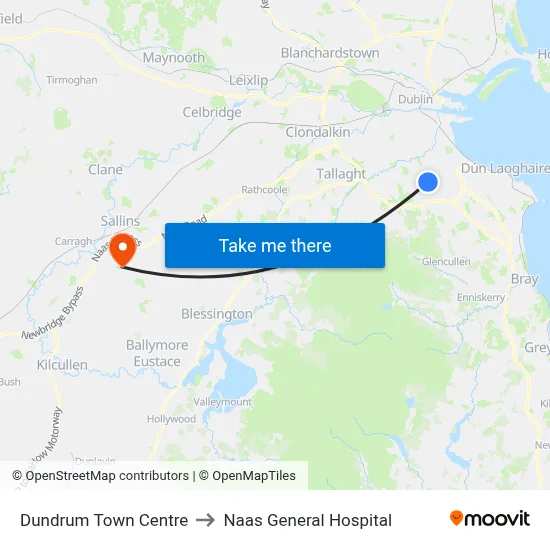 Dundrum Town Centre to Naas General Hospital map